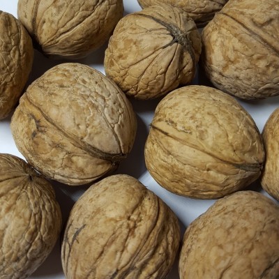 shelled walnuts