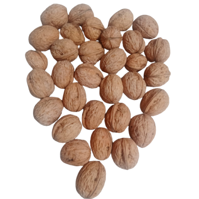 Nueces sin cáscara